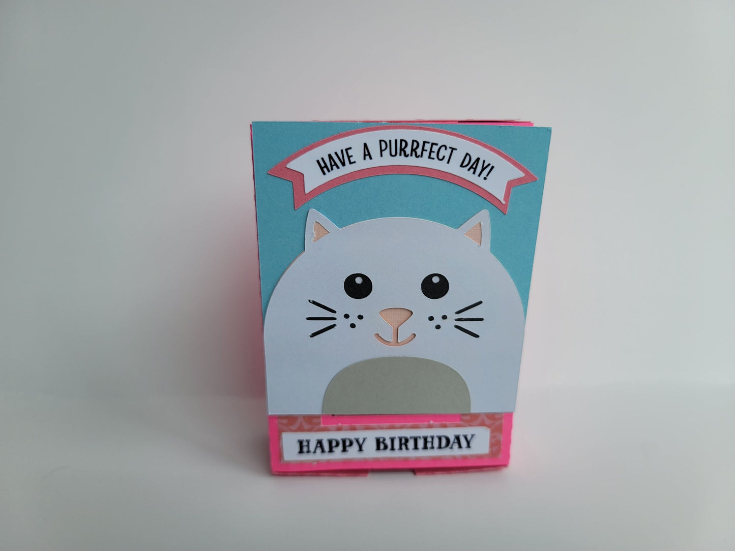 “Have a Purrfect Day” Cat Birthday Gift Box