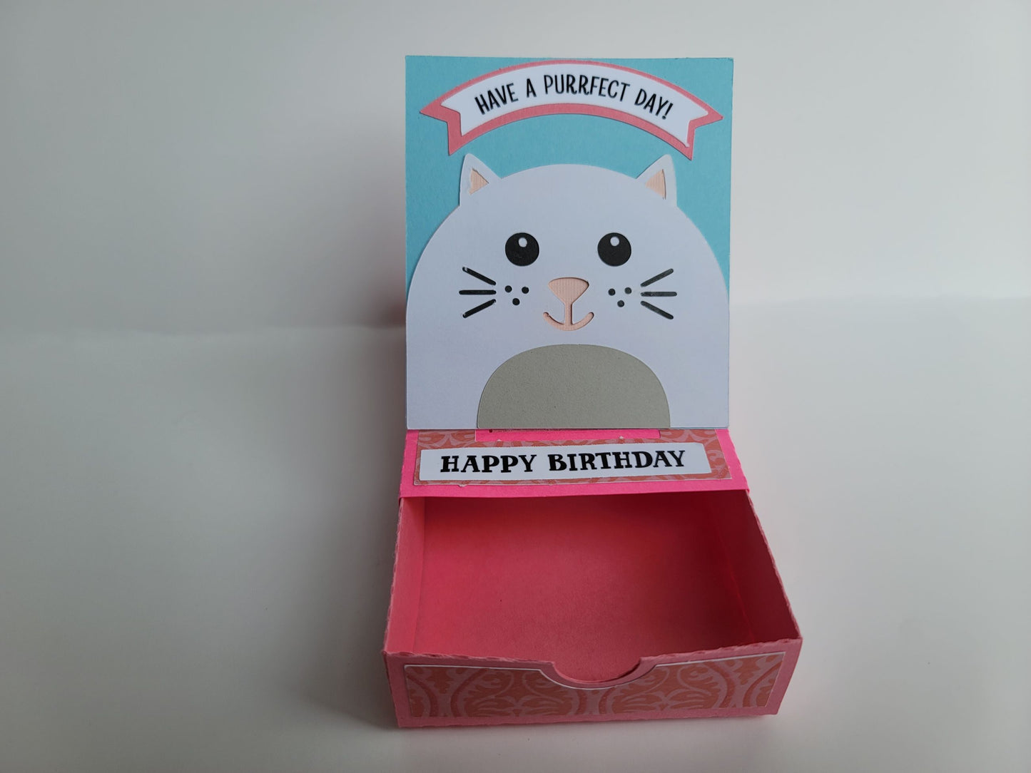 “Have a Purrfect Day” Cat Birthday Gift Box