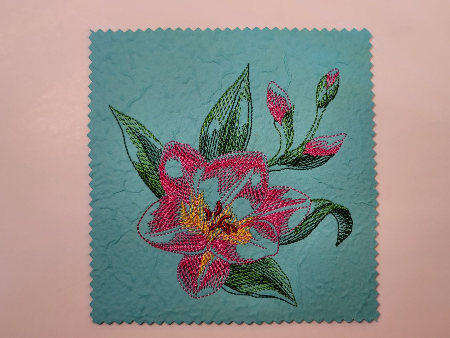 A Lily in Full Bloom