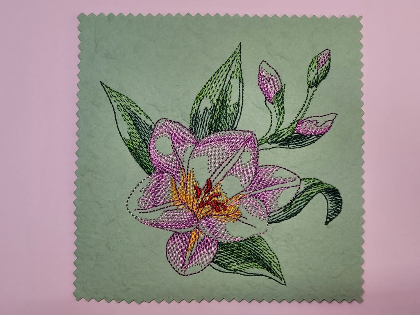 A Lily in Full Bloom